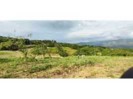  Terrain for sale in La Mesa, Cundinamarca, La Mesa