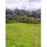  Terreno (Parcela) en venta en Guarne, Antioquia, Guarne, Antioquia