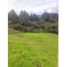  Terreno (Parcela) en venta en Guarne, Antioquia, Guarne, Antioquia