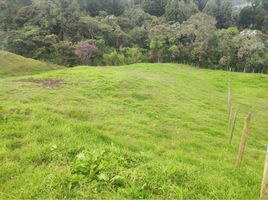  Terreno (Parcela) en venta en Guarne, Antioquia, Guarne, Antioquia