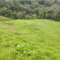  Terreno (Parcela) en venta en Guarne, Antioquia, Guarne, Antioquia