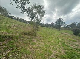  Grundstück zu verkaufen in La Ceja, Antioquia, La Ceja, Antioquia
