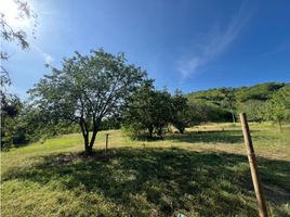  Land for sale in Magdalena, Santa Marta, Magdalena