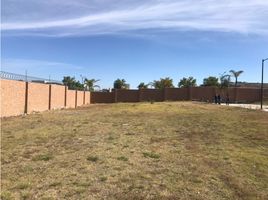 Land for sale in Ocoyucan, Puebla, Ocoyucan