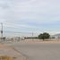  Land for rent in San Luis Potosi, San Luis Potosi, San Luis Potosi, San Luis Potosi