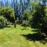  Land for sale in Chile, San Bernardo, Maipo, Santiago, Chile
