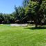  Land for sale in Chile, San Bernardo, Maipo, Santiago, Chile