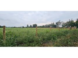  Land for sale in Palmira, Valle Del Cauca, Palmira