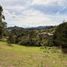  Land for sale in Rionegro, Antioquia, Rionegro
