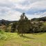 Land for sale in Rionegro, Antioquia, Rionegro