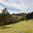  Land for sale in Rionegro, Antioquia, Rionegro