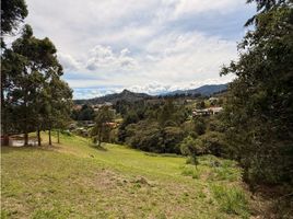  Land for sale in Rionegro, Antioquia, Rionegro