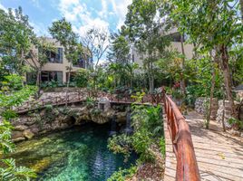 Maison 3 chambre à vendre à Cozumel, Quintana Roo, Cozumel