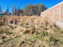  Land for sale in Confluencia, Neuquen, Confluencia