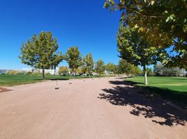  Terreno (Parcela) en venta en Neuquen, Confluencia, Neuquen