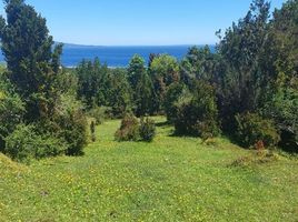  Land for sale in Chile, Chaiten, Palena, Los Lagos, Chile