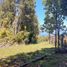  Land for sale in Chile, Chaiten, Palena, Los Lagos, Chile