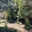  Land for sale in Chile, Chaiten, Palena, Los Lagos, Chile