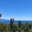  Land for sale in Chile, Chaiten, Palena, Los Lagos, Chile