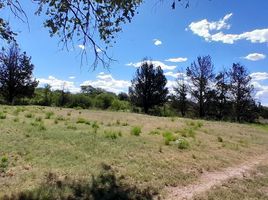  Land for sale in Coronel Pringles, San Luis, Coronel Pringles