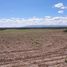  Land for sale in Coronel Pringles, San Luis, Coronel Pringles