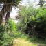  Land for sale in Chile, Quilpue, Valparaiso, Valparaiso, Chile