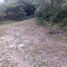  Land for sale in Colon, Cordoba, Colon