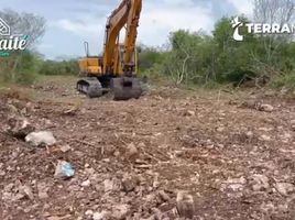 Terrain à vendre à Dzidzantun, Yucatan, Dzidzantun
