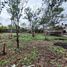  Terreno (Parcela) en venta en Puente De Ixtla, Morelos, Puente De Ixtla
