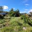  Land for sale in Lacar, Neuquen, Lacar