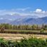  Terreno (Parcela) en venta en Lujan De Cuyo, Mendoza, Lujan De Cuyo