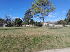  Land for sale in La Plata, Buenos Aires, La Plata