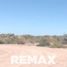  Land for sale in Picun Leufu, Neuquen, Picun Leufu