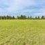  Land for sale in San Vicente, Buenos Aires, San Vicente