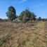  Terreno (Parcela) en venta en Mazamitla, Jalisco, Mazamitla