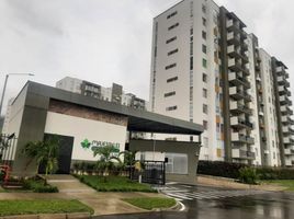 3 Bedroom Apartment for rent in Colombia, Dosquebradas, Risaralda, Colombia