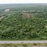  Land for sale in Felipe Carrillo Puerto, Quintana Roo, Felipe Carrillo Puerto