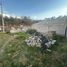  Land for sale in Tlahuac, Mexico City, Tlahuac