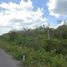  Terreno (Parcela) en venta en Peto, Yucatán, Peto