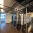 0 m² Office for rent in Miguel Hidalgo, Mexico City, Miguel Hidalgo