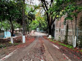  Terreno (Parcela) en venta en Tuxtla Gutierrez, Chiapas, Tuxtla Gutierrez, Chiapas