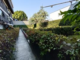 2 Schlafzimmer Wohnung zu vermieten in Azcapotzalco, Mexico City, Azcapotzalco