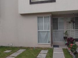 2 Habitación Casa en alquiler en Queretaro, Querétaro, Queretaro, Querétaro