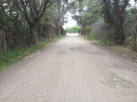  Terreno (Parcela) en venta en Maipo, Santiago, Buin, Maipo