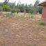  Terreno (Parcela) en venta en Maipo, Santiago, Buin, Maipo