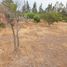  Terreno (Parcela) en venta en Maipo, Santiago, Buin, Maipo