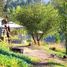  Terreno (Parcela) en venta en Melipilla, Santiago, Melipilla, Melipilla