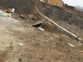  Terreno (Parcela) en venta en Valparaíso, La Ligua, Petorca, Valparaíso