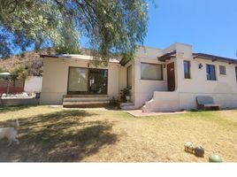 6 Habitación Casa en venta en San Bernardo, Maipo, San Bernardo