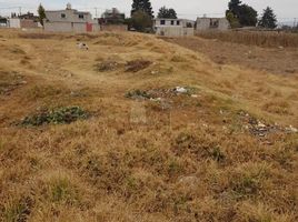  Grundstück zu verkaufen in Almoloya De Juarez, Mexico, Almoloya De Juarez